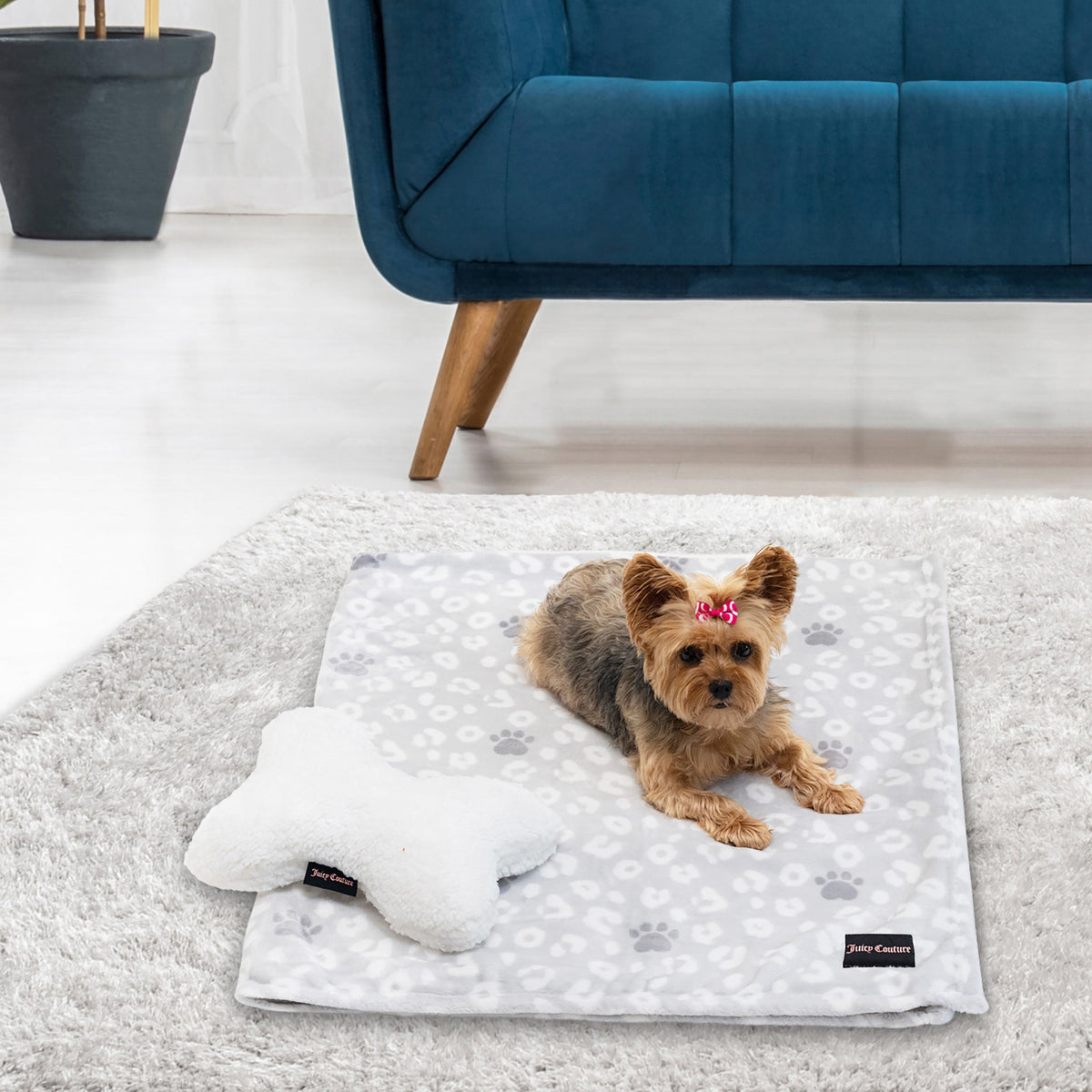 Glam Pet Throw Blanket & Bone Pillow 2-Piece Set