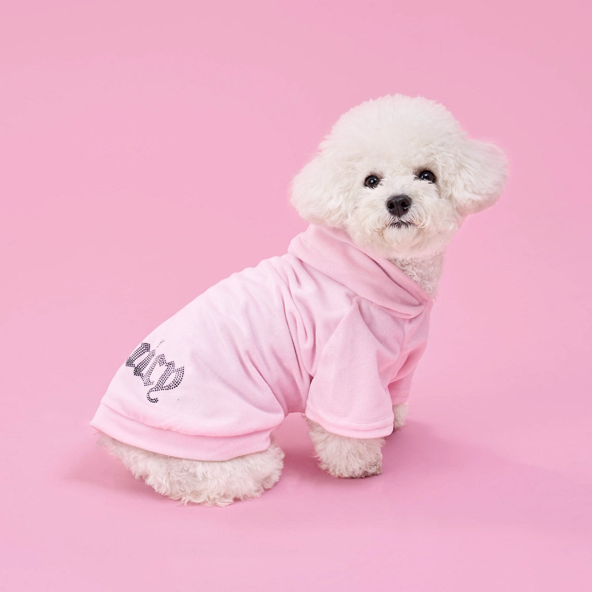 Glam Bling Velour Pet Hoodie