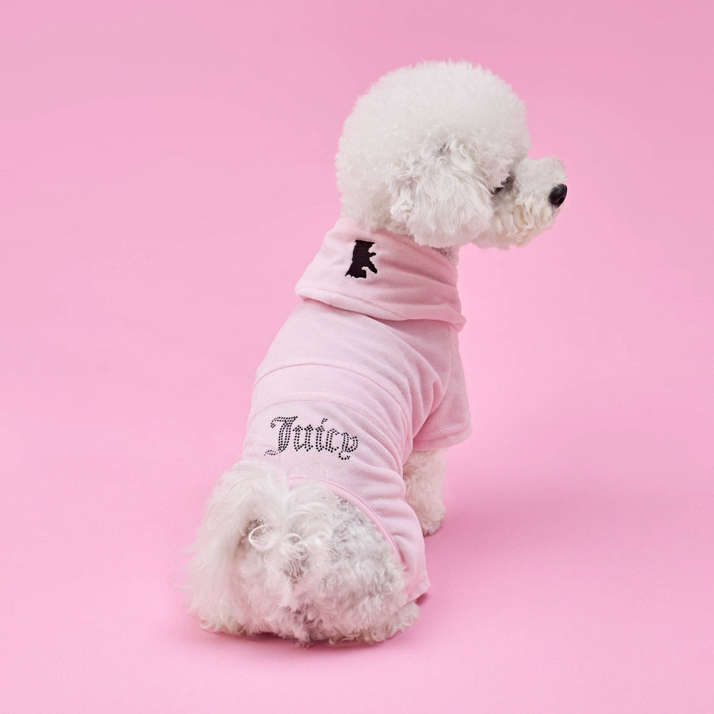 Glam Bling Velour Pet Tracksuit