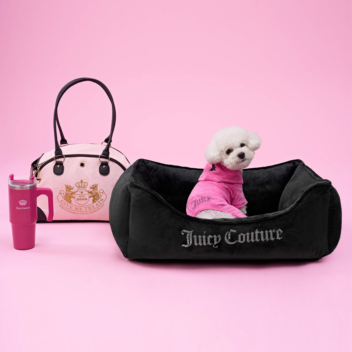 Glam Bling Velour Pet Tracksuit