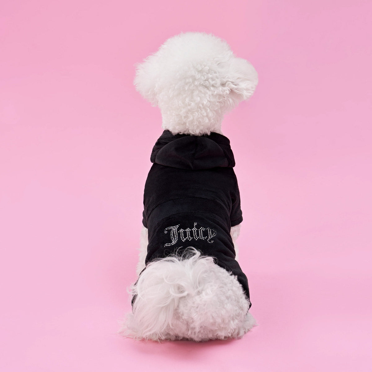 Glam Bling Velour Pet Tracksuit