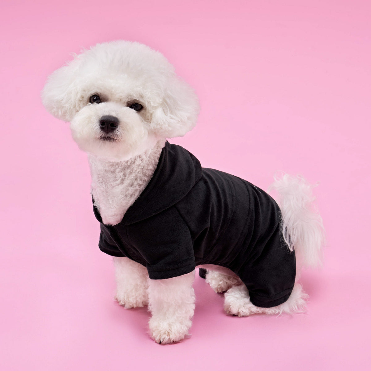 Glam Bling Velour Pet Tracksuit