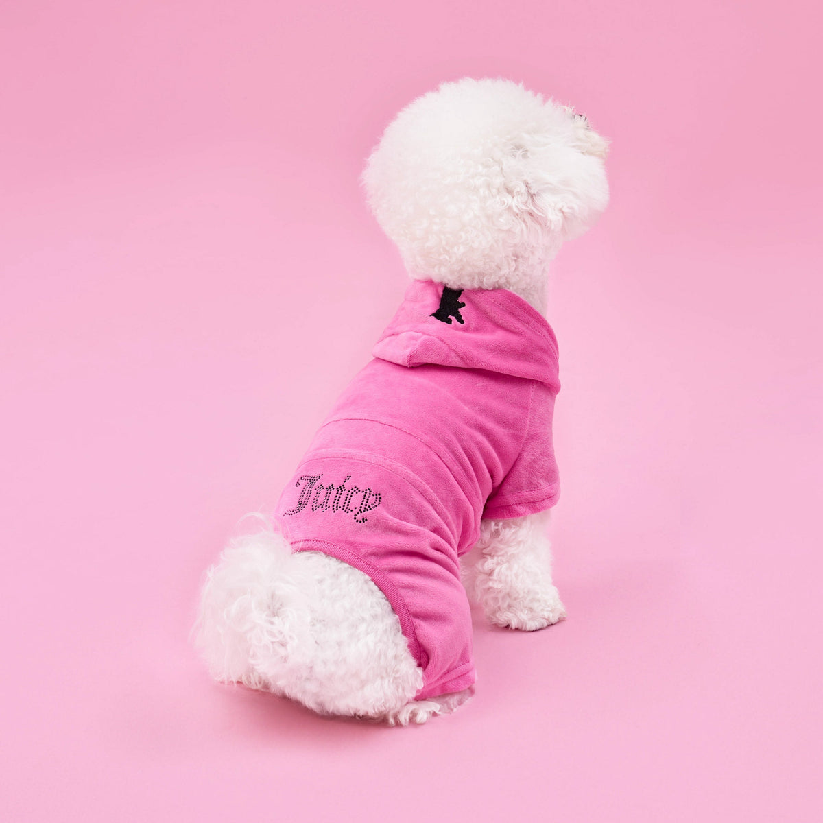 Glam Bling Velour Pet Tracksuit