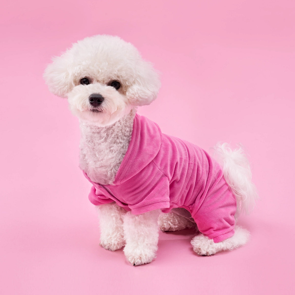 Glam Bling Velour Pet Tracksuit