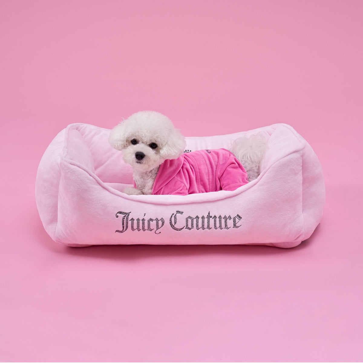 Glam Crown Bling Black Pet Bed