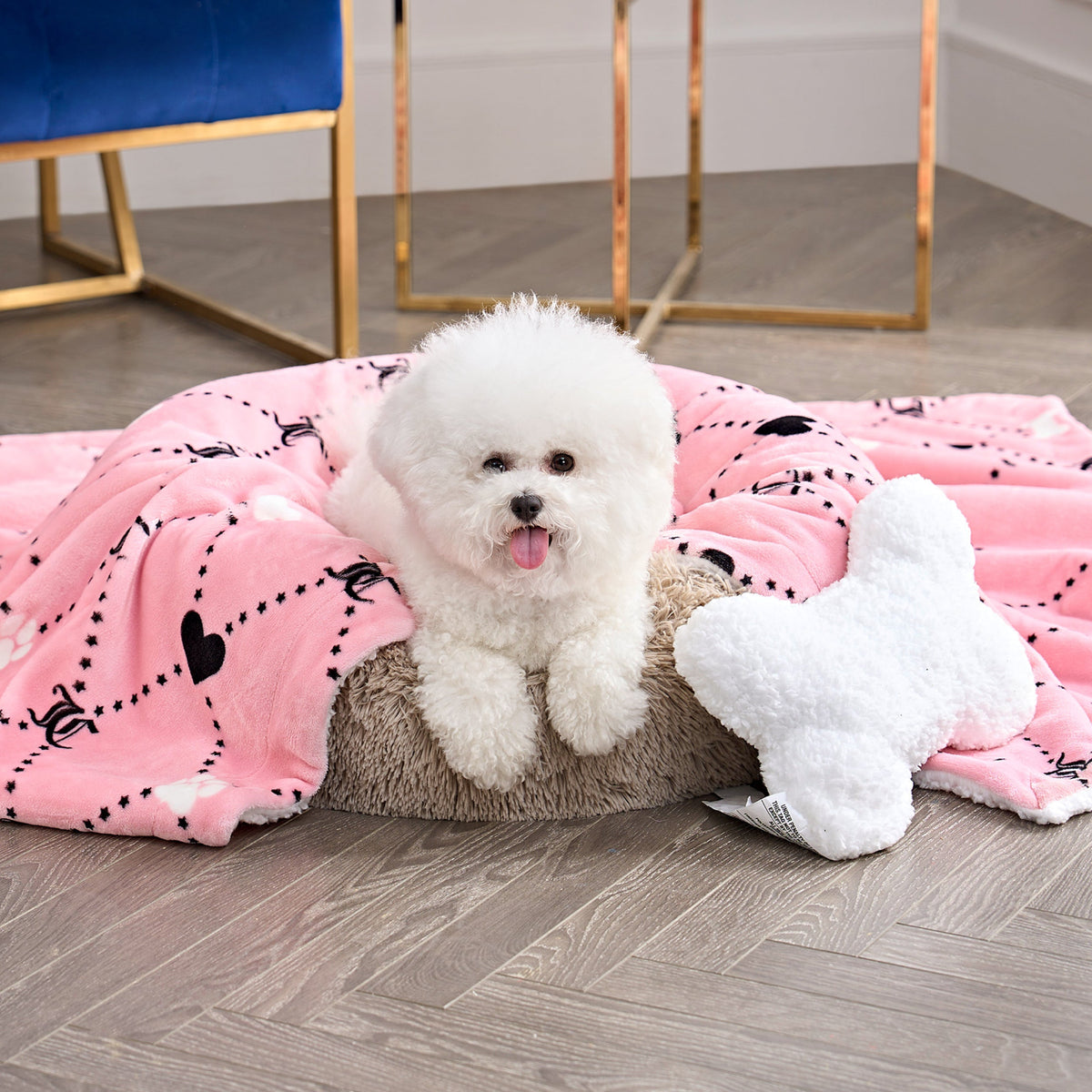 Glam Pet Blanket & Pillow Set