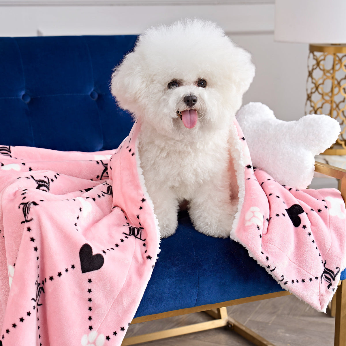 Glam Pet Blanket & Pillow Set