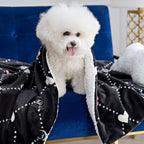 Glam Pet Blanket & Pillow Set