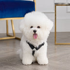 Glam Bling Velour Pet Harness and Leash Set