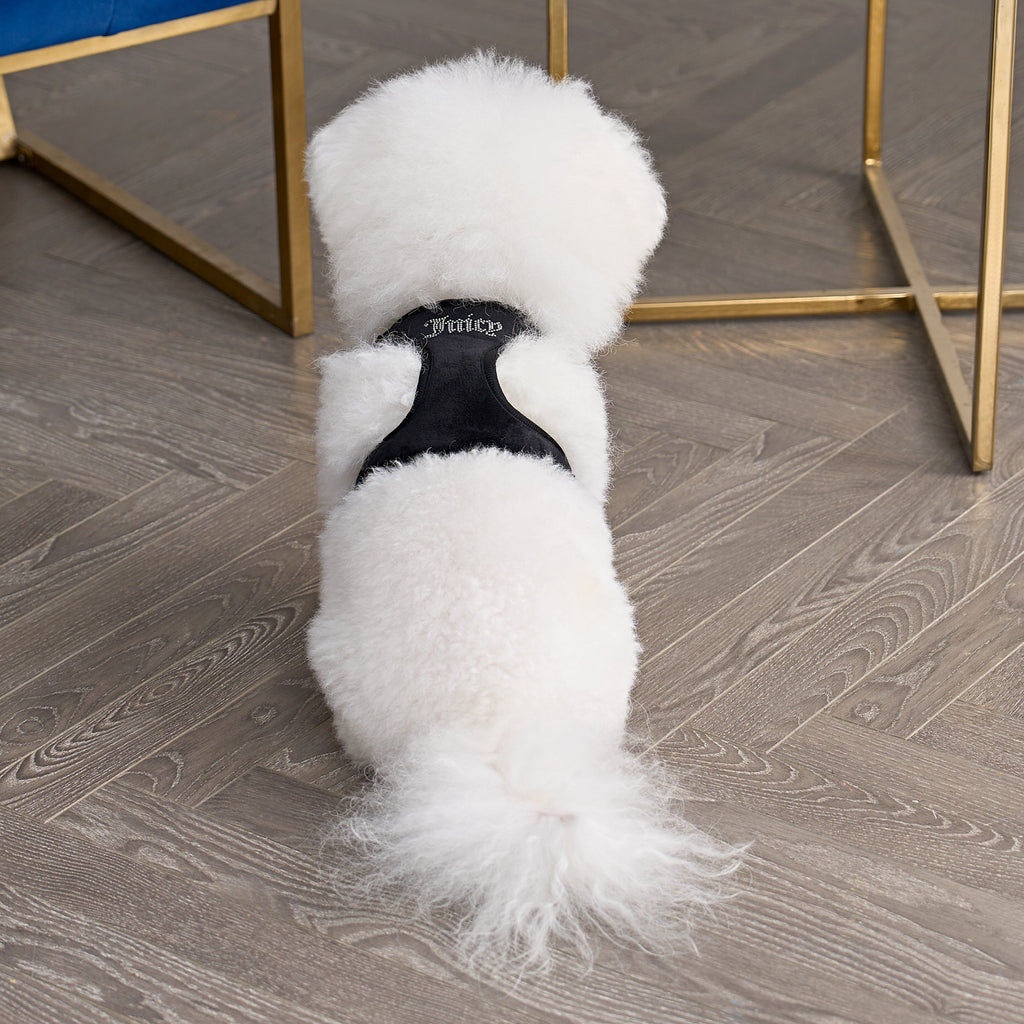 Glam Bling Velour Pet Harness and Leash Set