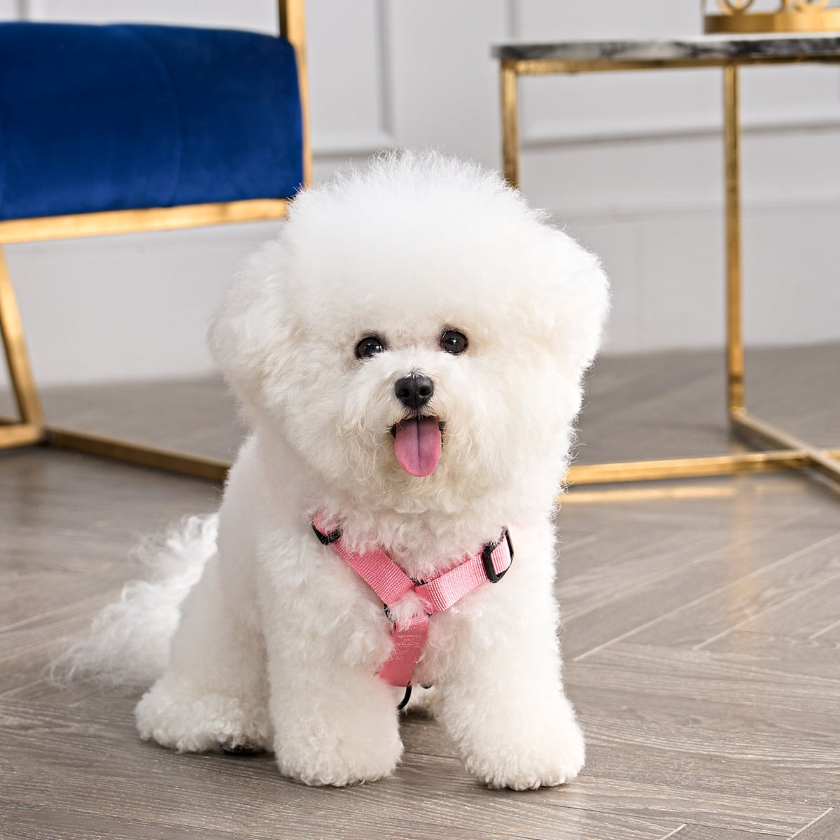 Glam Bling Velour Pet Harness and Leash Set