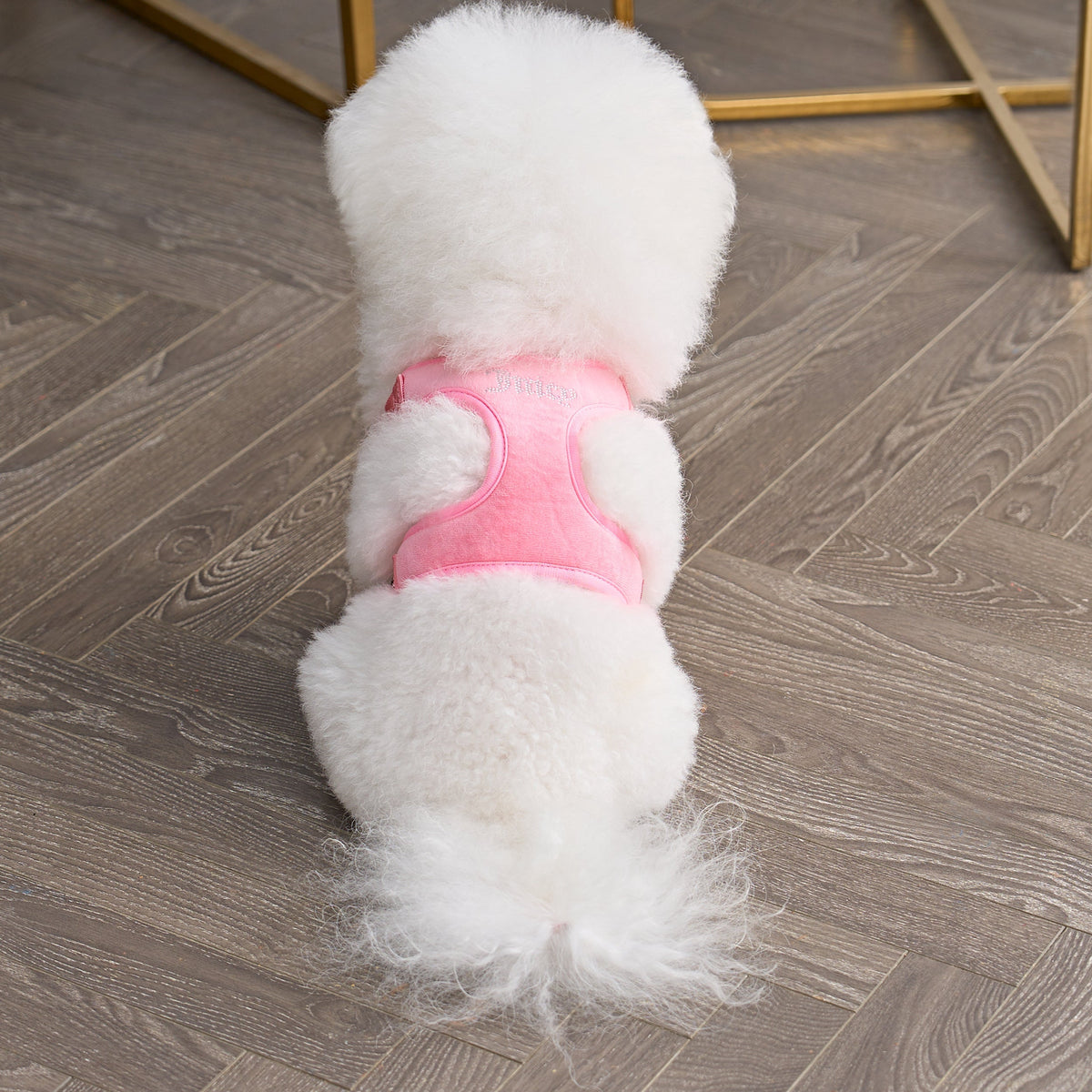 Glam Bling Velour Pet Harness and Leash Set
